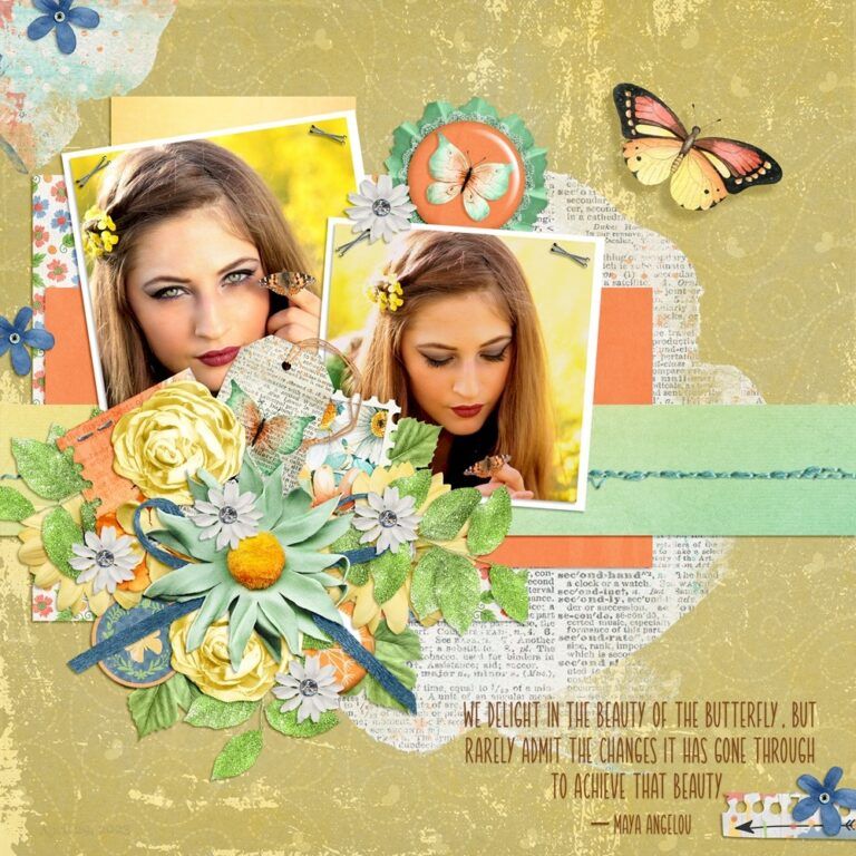 Beauty Of The Butterfly