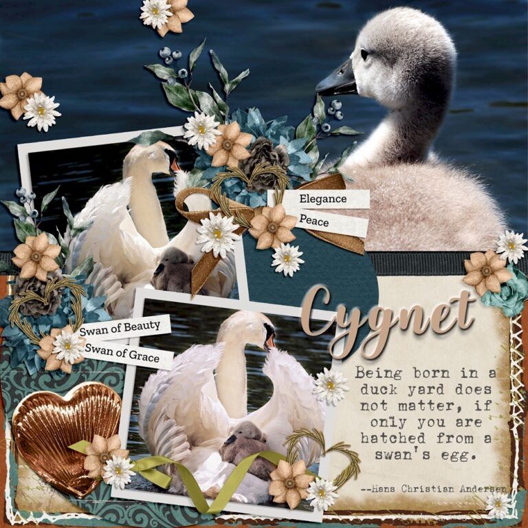 Cygnet