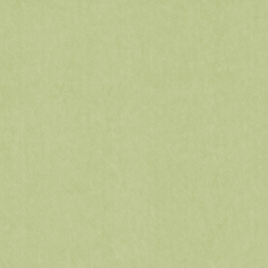 Slightly Textured Green Paper