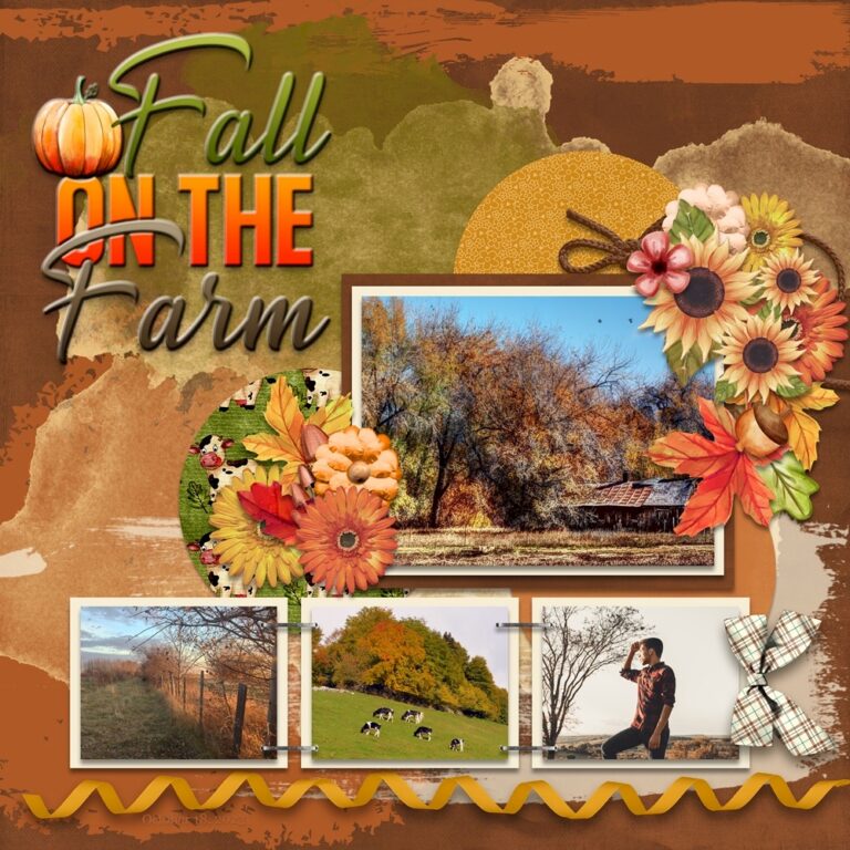 Fall On The Farm