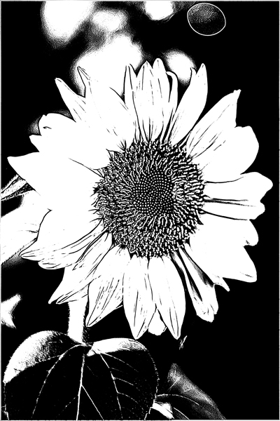 Sunflower - Graphic Novel Complete