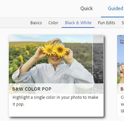 PSE Guided Color Pop