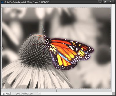 Blurred Background