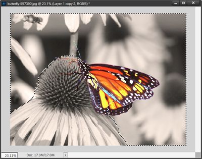 Extraneous Flowers Selected