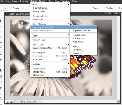 Adjustment Layer #3 - Levels