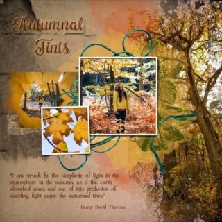 Autumnal Tints