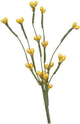 Yellow Foliage