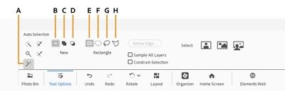 Auto Selection Tool Options