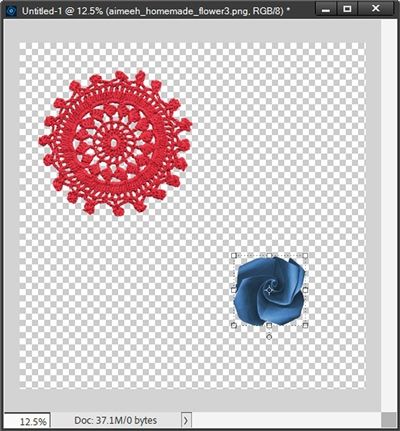 Doily & Flower