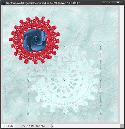 Accent Doily Blended