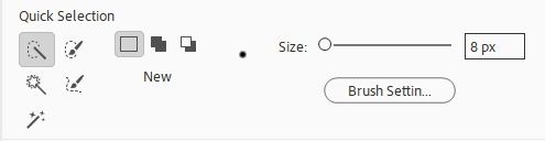 Quick Selection Tool