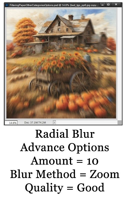 Radial Blur Results