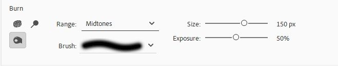 Burn Tool Options