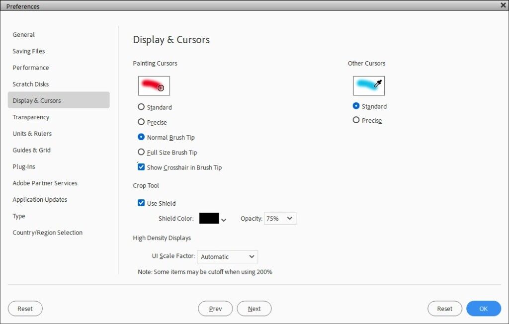 Display & Cursor Options