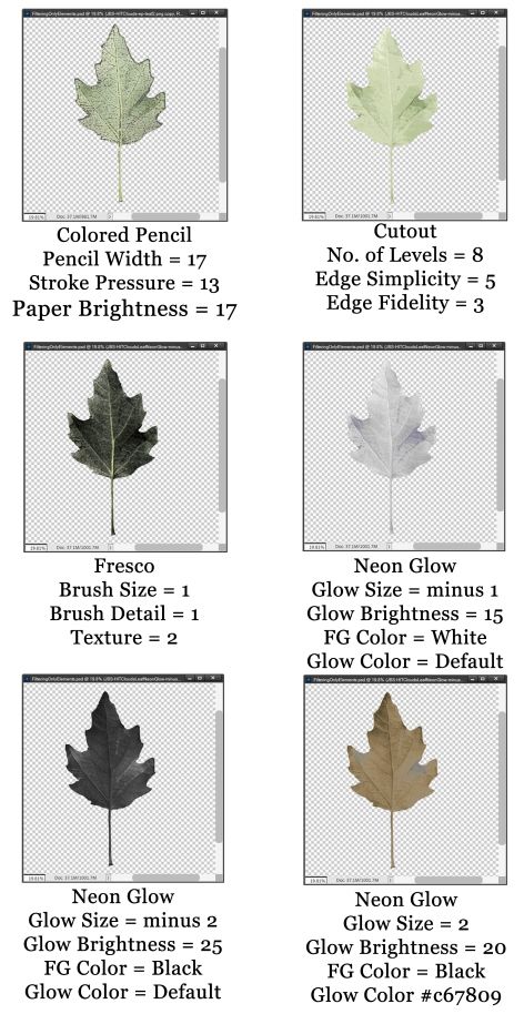 Leaf Filter Options #1