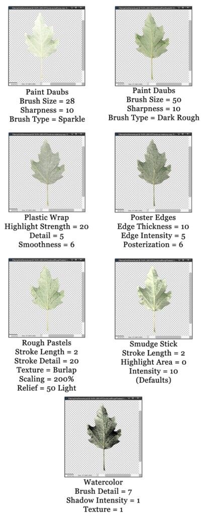 Leaf Filter Options #2