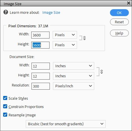 Image Resize - 12x12
