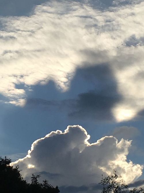 Cloud Shadow