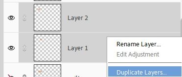 Duplicate Layerss