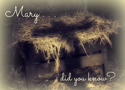Mary Did You Know?