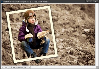 Framed Subject Custom Sepia