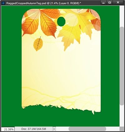 Tag Cropped Edge