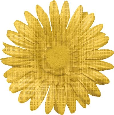 Grunge Over Flower