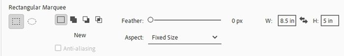 Marquee Tool