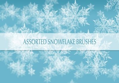 Snowflake Brushes