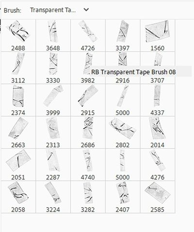 Transparent Brush Set