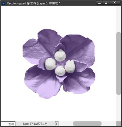 Purple Flower