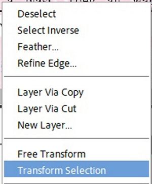 Transform Selection