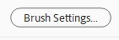 Brush Settings Button